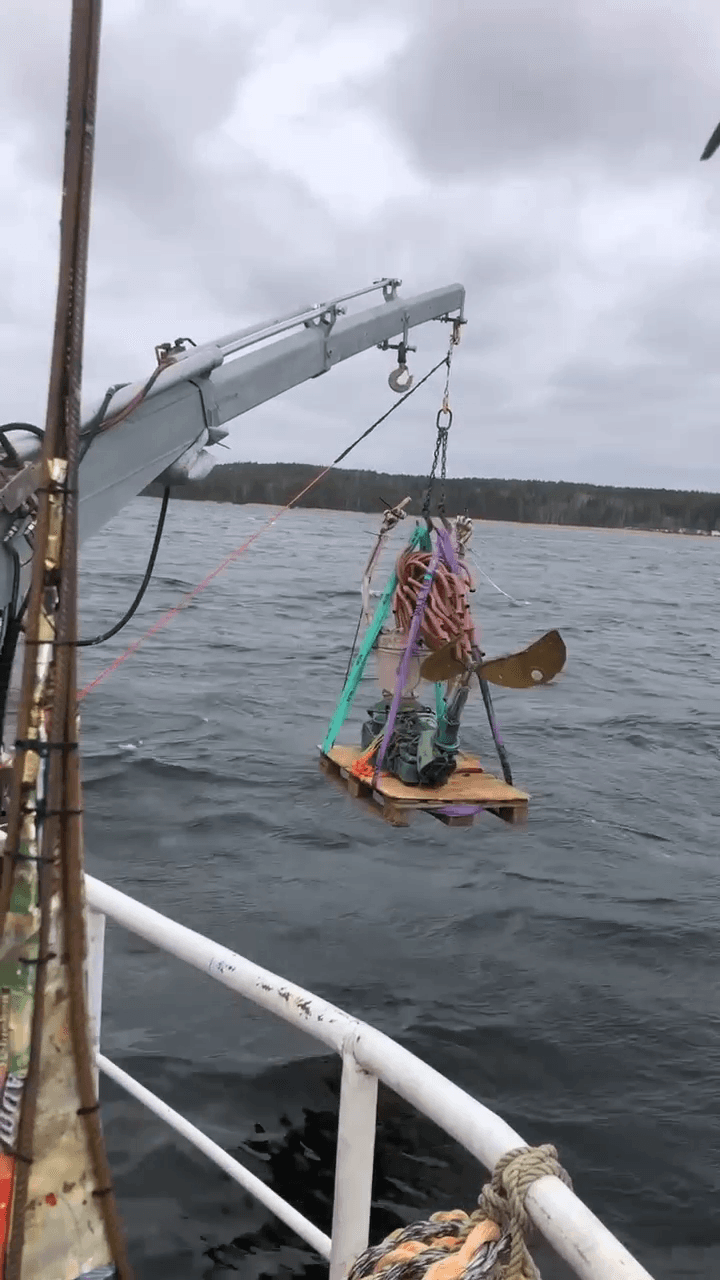 Mermaids do exist!
This wonderful sculpture, and 31 other sculptures are now standing on the seafloor