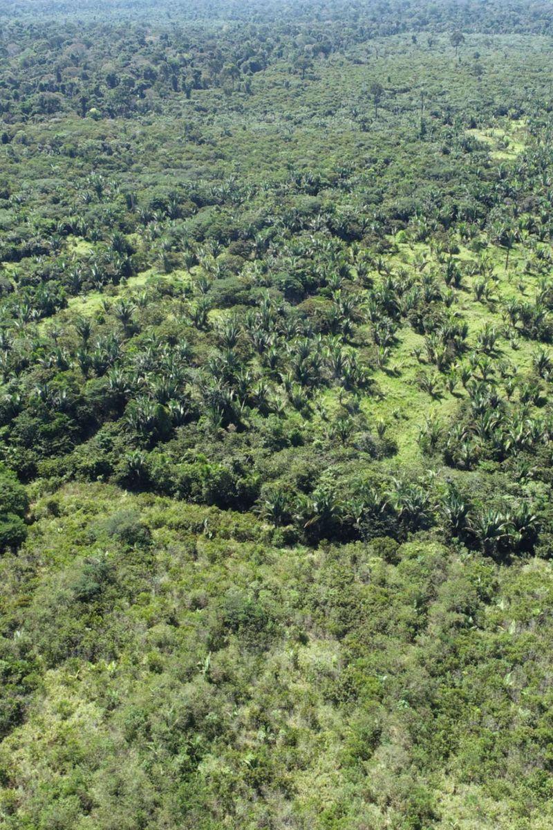 The recent focus has been on maintenance, including replanting and the removal of invasive species, and ecological monitoring of the areas.