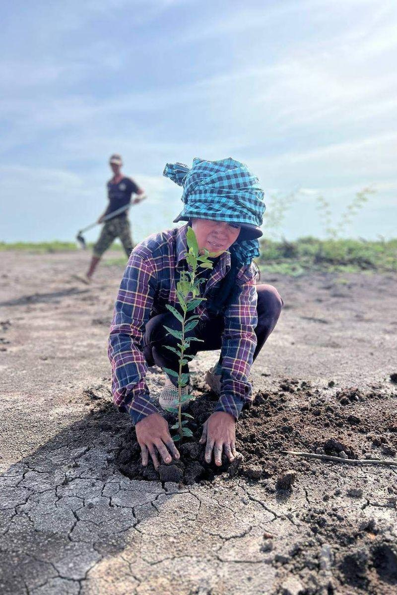 The team have been maintaining and monitoring the seedlings which have been planted.