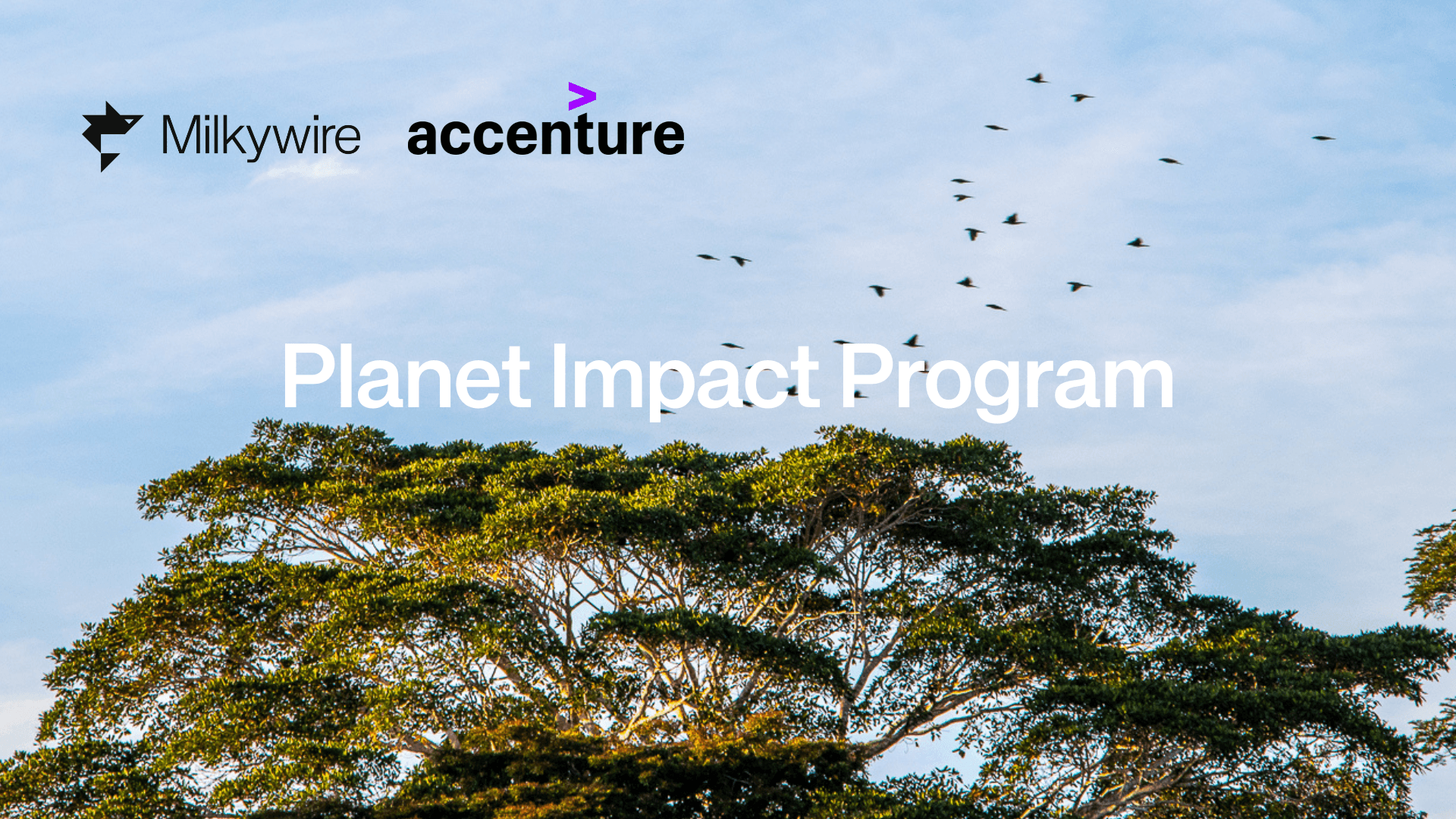 Planet Impact Program: Milkywire and Accenture collaborating on Climate Action