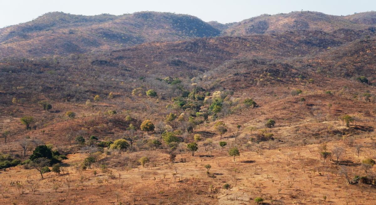 Arid landscape with scattered trees and shrubs on rolling hills, dry brown terrain stretching towards distant mountains.