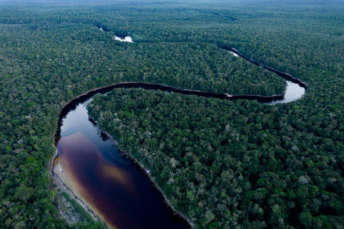 Aerial view of a winding river cutting through dense Amazon rainforest, with a small waterfall visible in the distance.