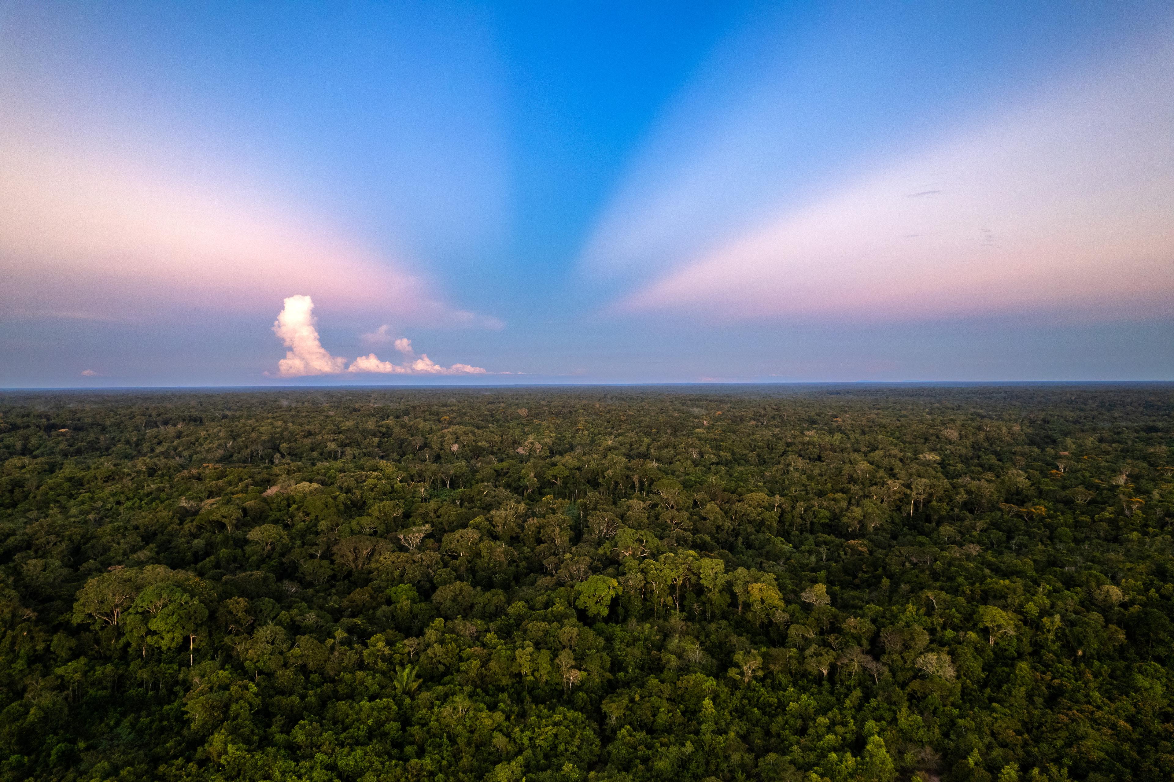 (c) Juan Diego Soler _ Gaia Amazonas.jpeg