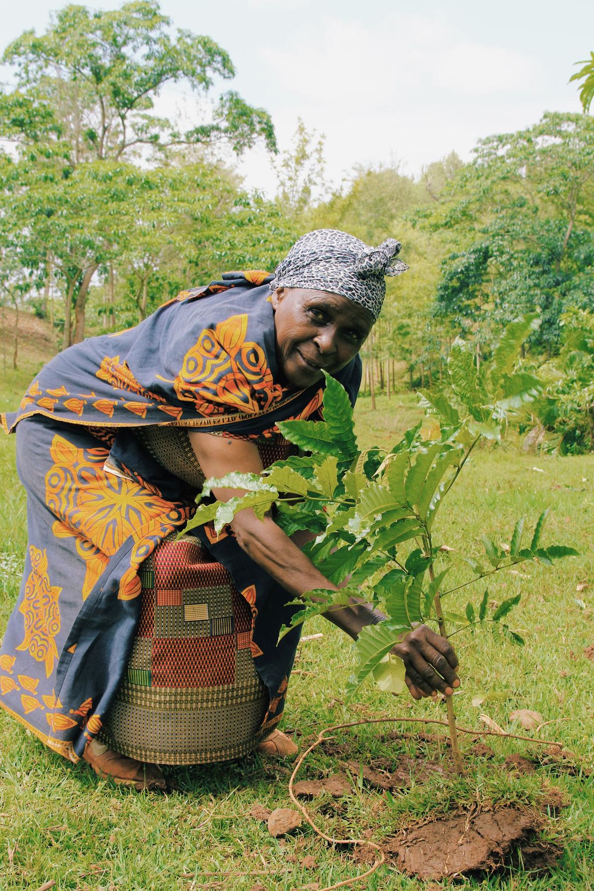 Image by Plant with Purpose © Milkywire