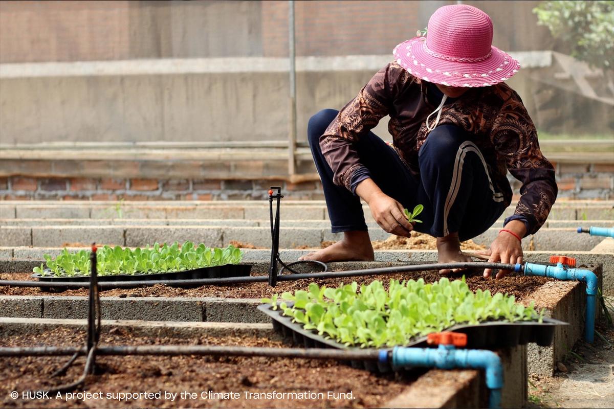 Image by HUSK © Milkywire