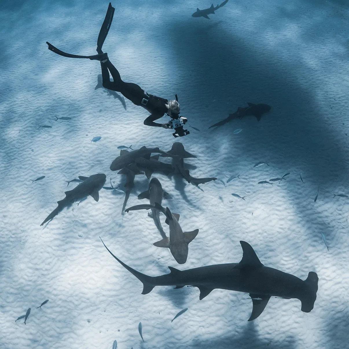 Jillian_Morris_credit_Sophie_Hart_2